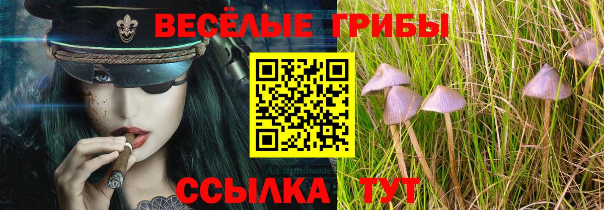 Железноводск  Галлюциногенные грибы Psilocybe  Вход с VPN  Псилоцибиновые грибы MAGIC MUSHROOMS 