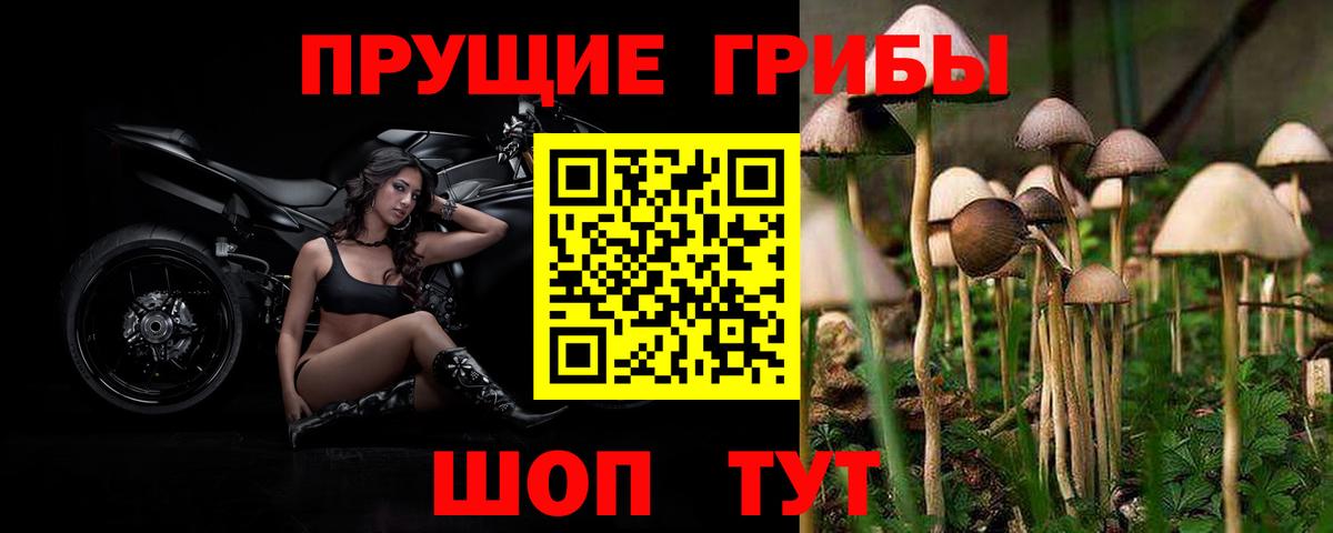 Галлюциногенные грибы Cubensis Железноводск